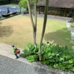 The Master Greening Company Pte APAC Golf Business